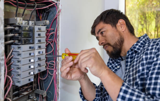 Best Local Electrician Companies  in Hudson, CO